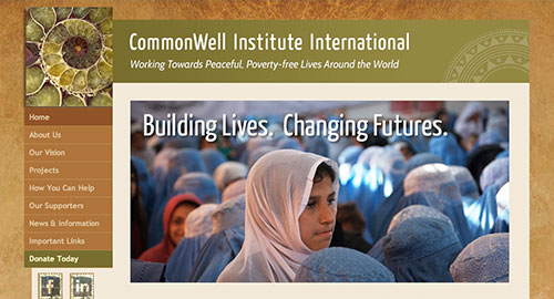 CommonWell Institute